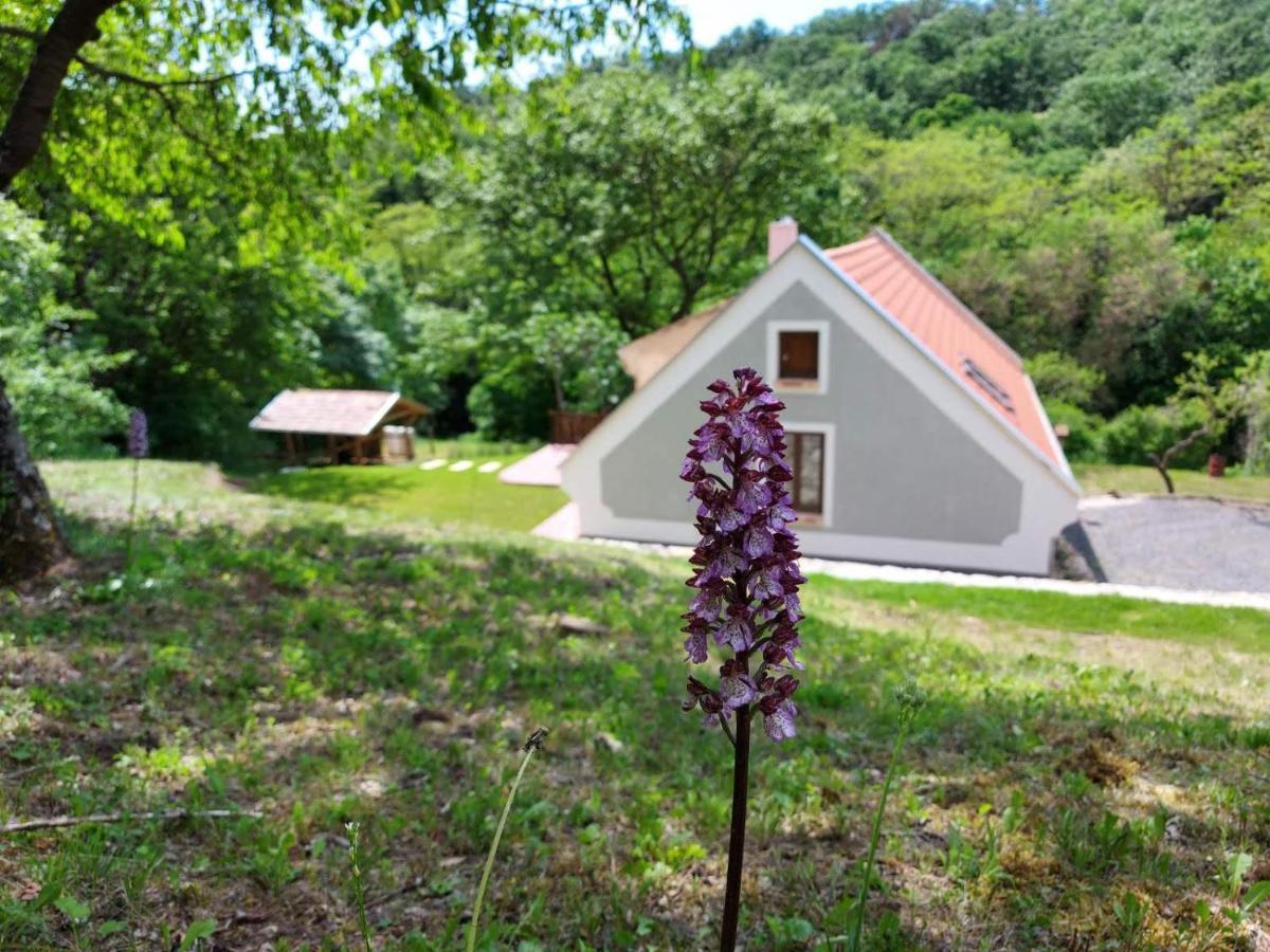 Kosbor Vendeghaz Apartment Monoszlo ภายนอก รูปภาพ