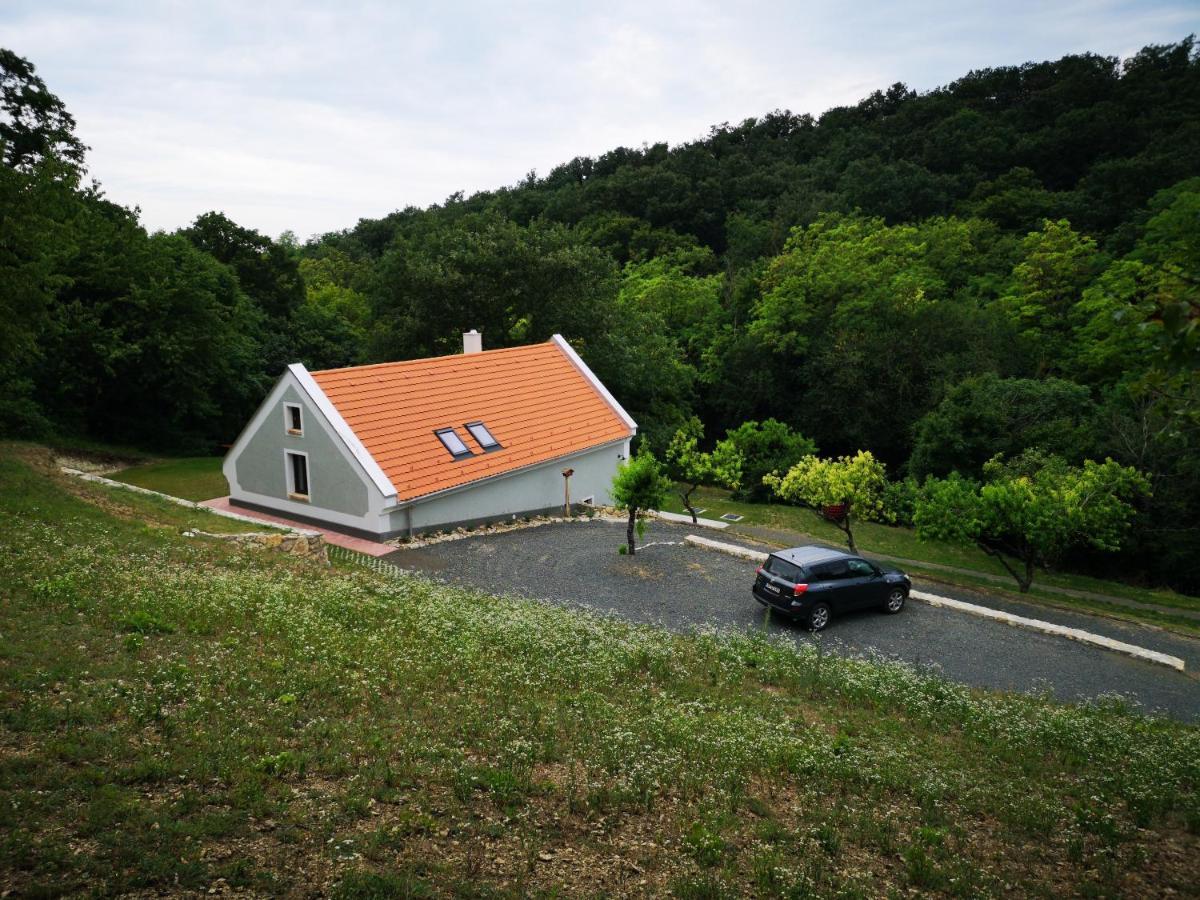 Kosbor Vendeghaz Apartment Monoszlo ภายนอก รูปภาพ