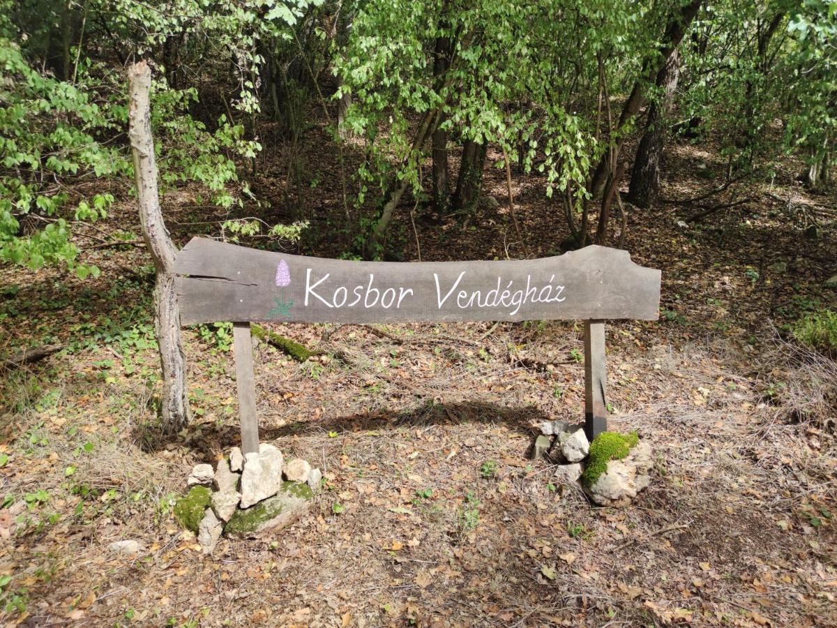 Kosbor Vendeghaz Apartment Monoszlo ภายนอก รูปภาพ