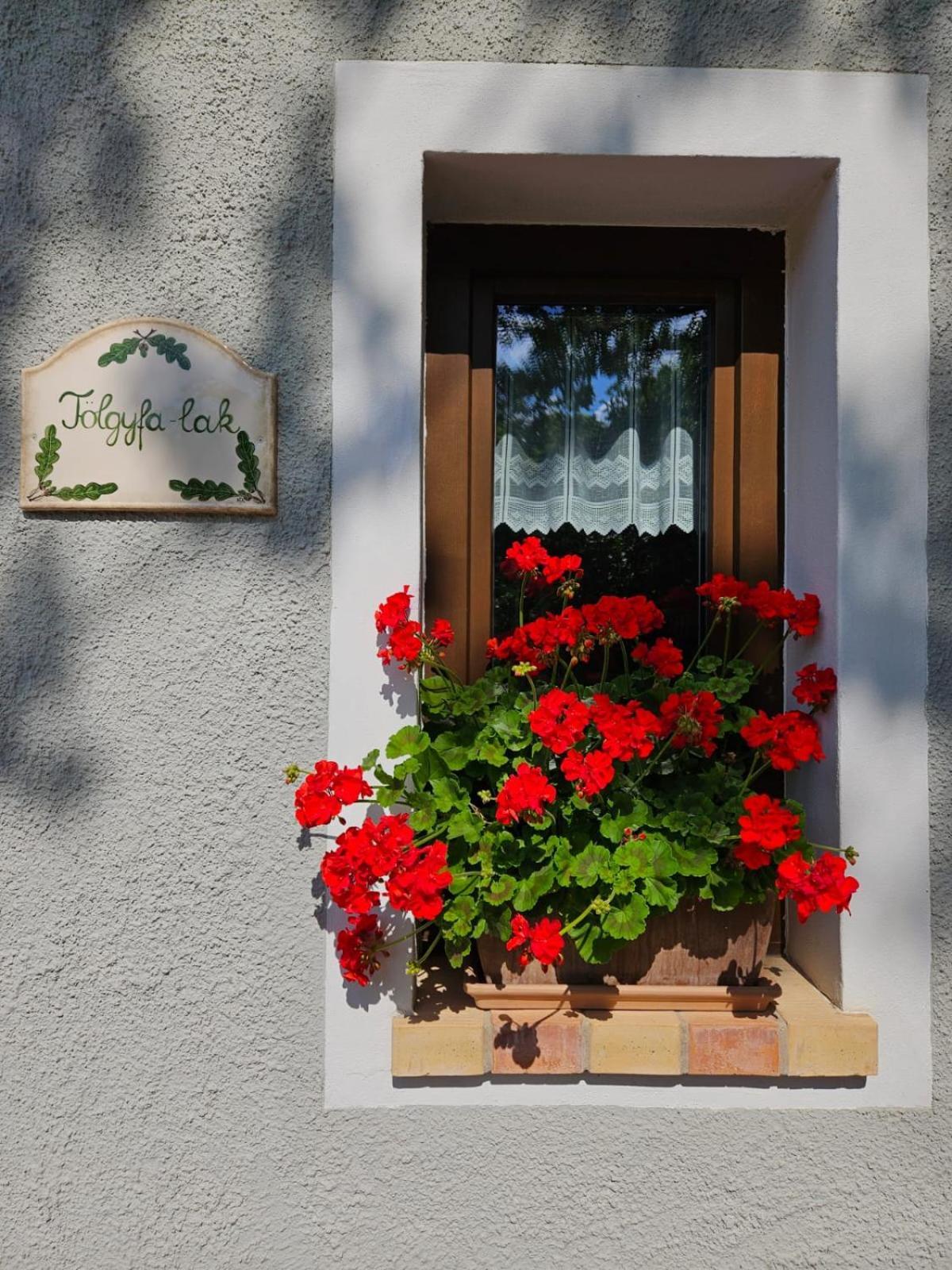 Kosbor Vendeghaz Apartment Monoszlo ภายนอก รูปภาพ